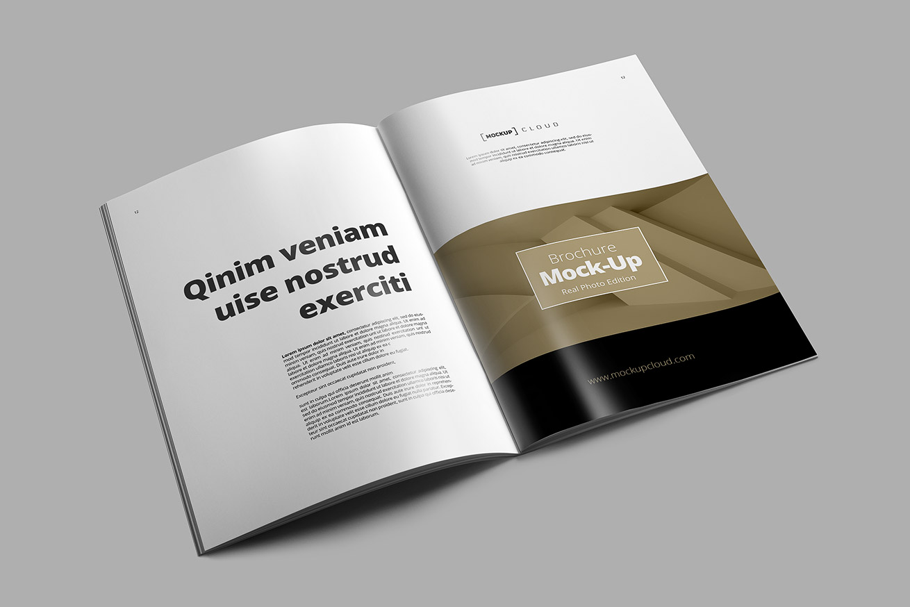 Brochure